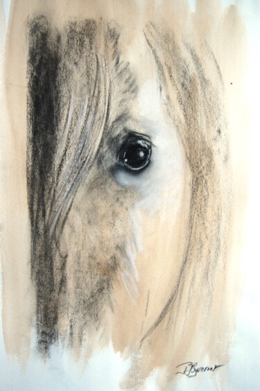 Drawing titled "regard équin N3 -ét…" by Patricia Hyvernat, Original Artwork, Chalk