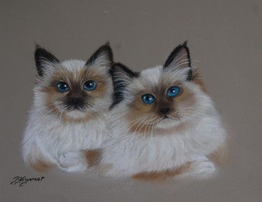 Drawing titled "Toa et Moa chatons…" by Patricia Hyvernat, Original Artwork, Pastel