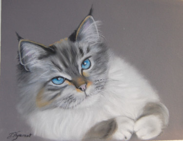 Dessin intitulée "Sultane chatte  sac…" par Patricia Hyvernat, Œuvre d'art originale, Pastel