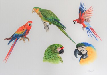 Pittura intitolato "perroquets -  aquar…" da Patricia Hyvernat, Opera d'arte originale, Acquarello
