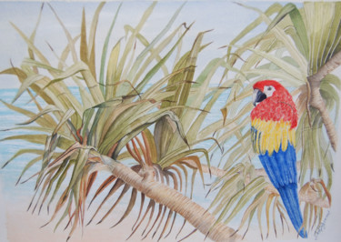 Malerei mit dem Titel "ara aux palmiers  -…" von Patricia Hyvernat, Original-Kunstwerk, Aquarell