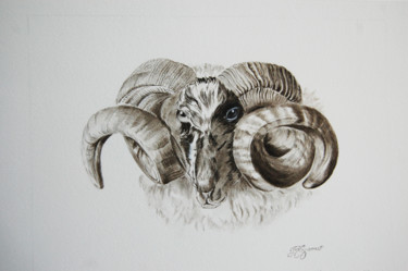 bélier - dessin original à l'encre Dessin intitulée "bélier - dessin ori…" par Patricia Hyvernat, Œuvre d'art originale, Encre
