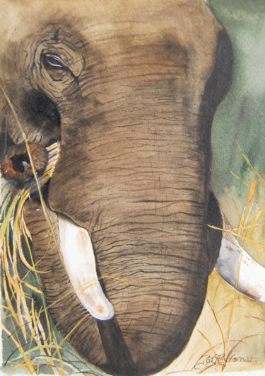 Malerei mit dem Titel "elephant d'Asie  -…" von Patricia Hyvernat, Original-Kunstwerk, Aquarell