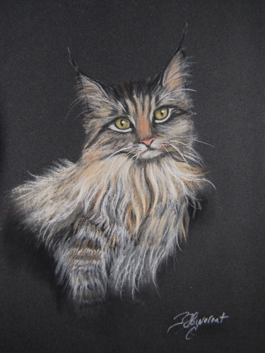 Рисунок под названием "le chat maine coon…" - Patricia Hyvernat, Подлинное произведение искусства, Пастель