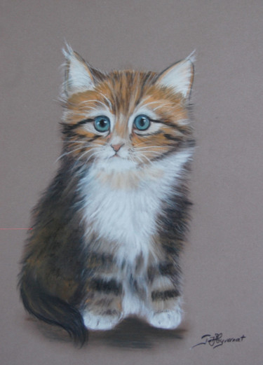 Dessin intitulée "le chaton - pastel" par Patricia Hyvernat, Œuvre d'art originale, Pastel