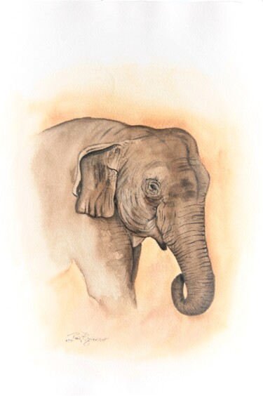 Peinture intitulée "éléphant d'Asie  -…" par Patricia Hyvernat, Œuvre d'art originale, Aquarelle