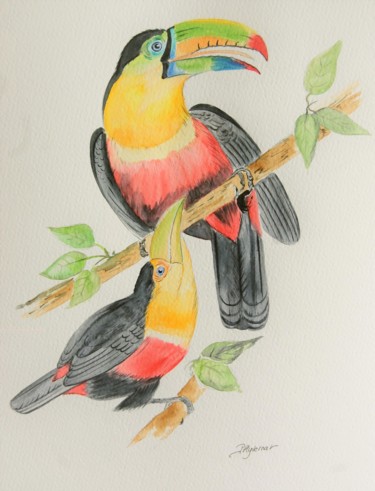 Painting titled "toucans  -  aquarel…" by Patricia Hyvernat, Original Artwork, Watercolor