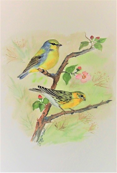 Malerei mit dem Titel "serins  -oiseaux- a…" von Patricia Hyvernat, Original-Kunstwerk, Aquarell