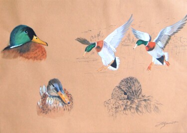 Painting titled "canards colverts  -…" by Patricia Hyvernat, Original Artwork, Gouache