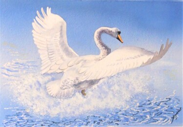 Peinture intitulée "envol du cygne blan…" par Patricia Hyvernat, Œuvre d'art originale, Aquarelle