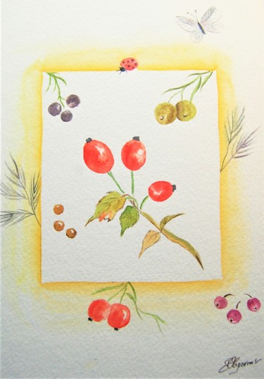 Peinture intitulée "cynorrhodons, fruit…" par Patricia Hyvernat, Œuvre d'art originale, Aquarelle