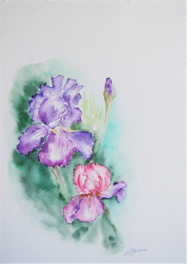 Peinture intitulée "les iris- aquarelle…" par Patricia Hyvernat, Œuvre d'art originale, Aquarelle
