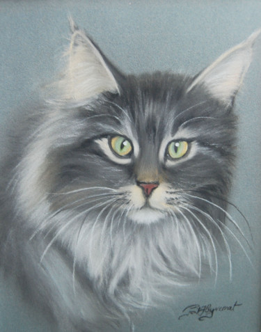 Drawing titled ""Gatsby" chat maine…" by Patricia Hyvernat, Original Artwork, Pastel