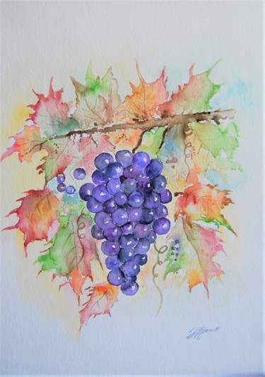 Pintura intitulada "la vigne - raisin -…" por Patricia Hyvernat, Obras de arte originais, Aquarela