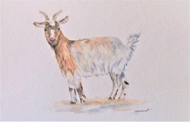 Peinture intitulée "chèvre naine  - aqu…" par Patricia Hyvernat, Œuvre d'art originale, Aquarelle
