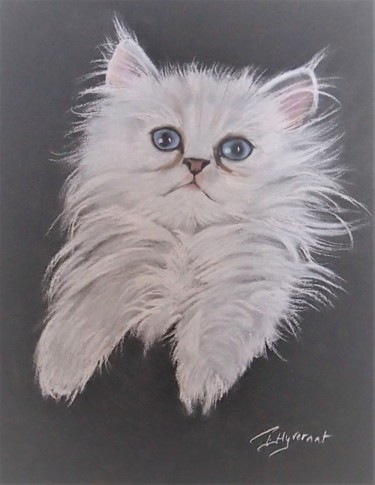 Painting titled ""neige" chatte pers…" by Patricia Hyvernat, Original Artwork, Pastel