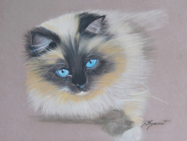Desenho intitulada ""Saphir" chat sacré…" por Patricia Hyvernat, Obras de arte originais, Pastel