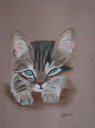 Dessin intitulée ""Patsy" chaton tigr…" par Patricia Hyvernat, Œuvre d'art originale, Pastel