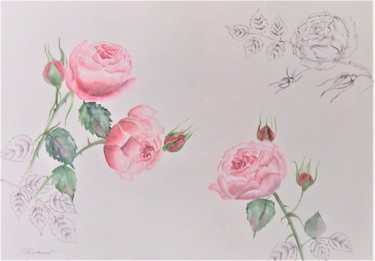 Painting titled "roses anglaises du…" by Patricia Hyvernat, Original Artwork, Watercolor