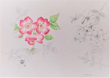 Malerei mit dem Titel "roses anciennes du…" von Patricia Hyvernat, Original-Kunstwerk, Aquarell