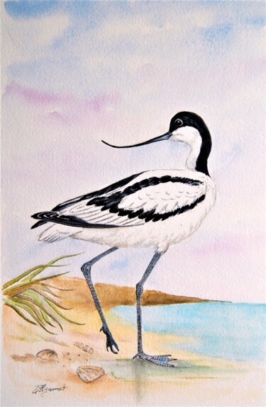 Pintura intitulada "avocette - oiseaux…" por Patricia Hyvernat, Obras de arte originais, Aquarela