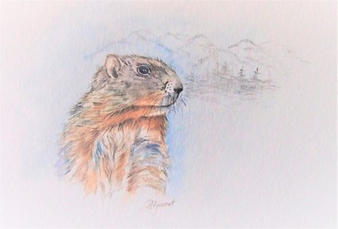 Painting titled "marmotte - aquarell…" by Patricia Hyvernat, Original Artwork, Pencil