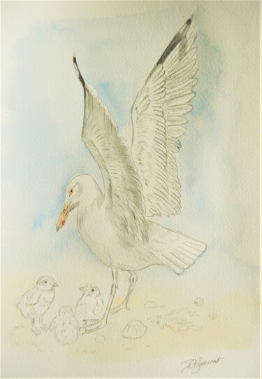 Zeichnungen mit dem Titel "goeland - aquarelle…" von Patricia Hyvernat, Original-Kunstwerk, Bleistift