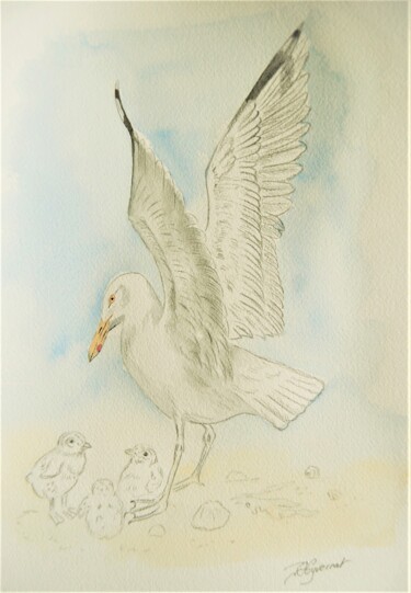 Dessin intitulée "goeland - aquarelle…" par Patricia Hyvernat, Œuvre d'art originale, Crayon