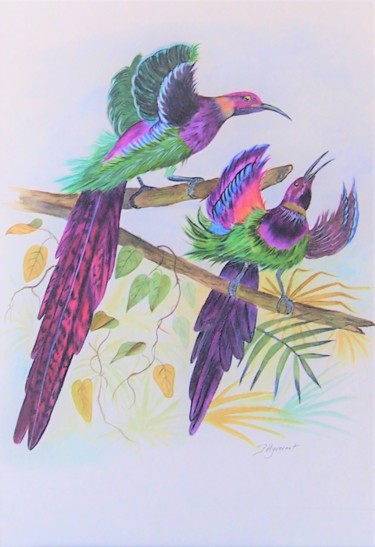 Pintura intitulada "oiseaux de paradis…" por Patricia Hyvernat, Obras de arte originais, Aquarela