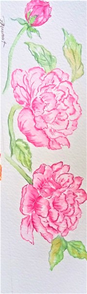 Painting titled "pivoines- marque pa…" by Patricia Hyvernat, Original Artwork, Watercolor