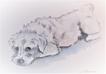 Painting titled "le petit chien - ca…" by Patricia Hyvernat, Original Artwork, Watercolor