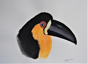 Painting titled "toucan - aquarelle…" by Patricia Hyvernat, Original Artwork, Watercolor