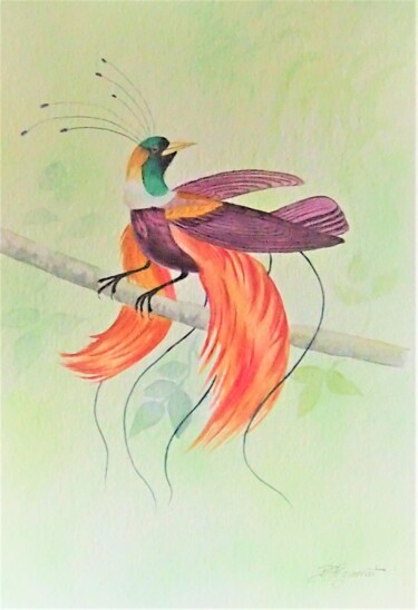 Pintura titulada "oiseaux de paradis…" por Patricia Hyvernat, Obra de arte original, Acuarela