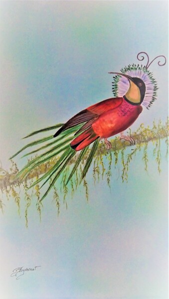 Malerei mit dem Titel "oiseaux de paradis…" von Patricia Hyvernat, Original-Kunstwerk, Aquarell