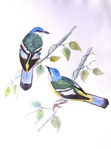 Картина под названием "cochoa vert népalai…" - Patricia Hyvernat, Подлинное произведение искусства, Акварель