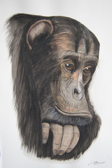 Painting titled "la petite guenon ch…" by Patricia Hyvernat, Original Artwork, Watercolor