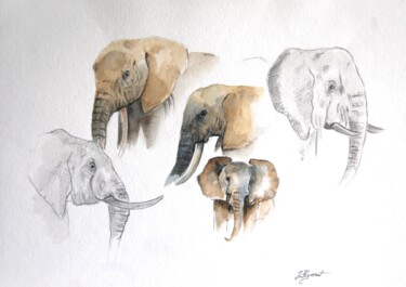 Malarstwo zatytułowany „étude d'éléphants…” autorstwa Patricia Hyvernat, Oryginalna praca, Grafit