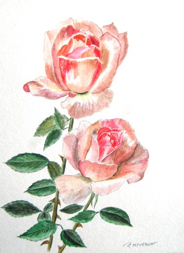 绘画 标题为“roses roses” 由Patricia Hyvernat, 原创艺术品, 水彩