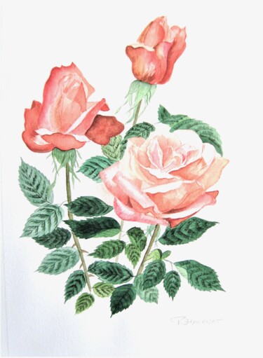 Painting titled "roses anciennes du…" by Patricia Hyvernat, Original Artwork, Watercolor