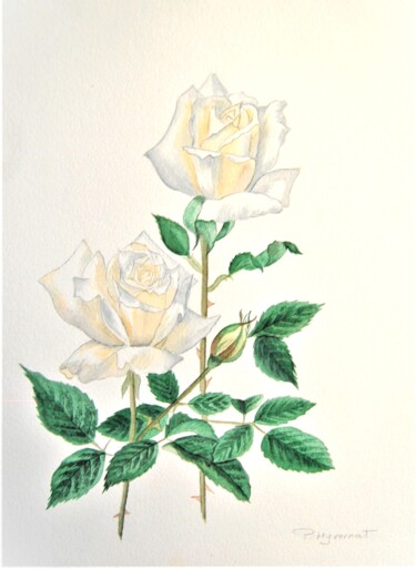 Картина под названием "roses blanches" - Patricia Hyvernat, Подлинное произведение искусства, Акварель
