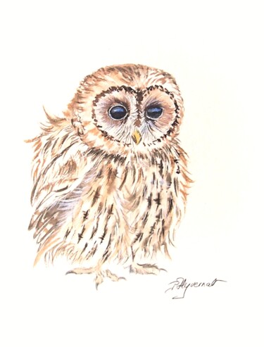 Peinture intitulée "petite chouette hul…" par Patricia Hyvernat, Œuvre d'art originale, Aquarelle