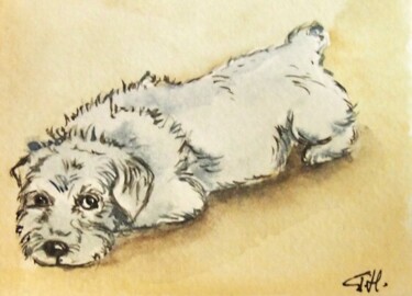 Pintura intitulada "petit chien couché…" por Patricia Hyvernat, Obras de arte originais, Aquarela