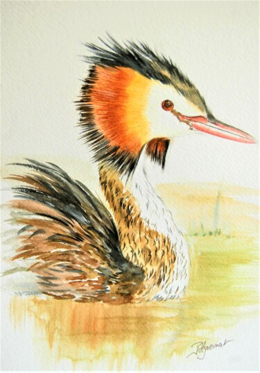 Painting titled "grèbe huppée- aquar…" by Patricia Hyvernat, Original Artwork, Watercolor