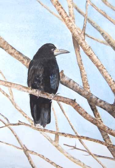 Malerei mit dem Titel "corbeau - aquarelle…" von Patricia Hyvernat, Original-Kunstwerk, Aquarell