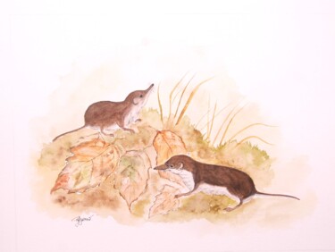 绘画 标题为“musaraignes bicolor…” 由Patricia Hyvernat, 原创艺术品, 水彩