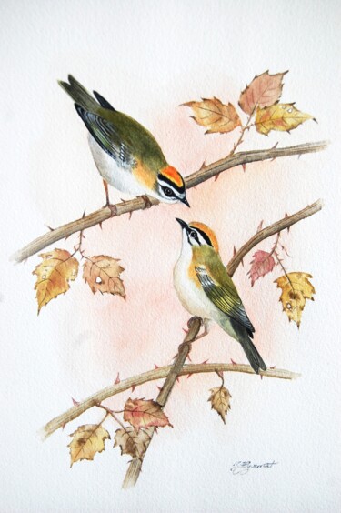 Painting titled "roitelets triple ba…" by Patricia Hyvernat, Original Artwork, Watercolor