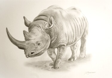 Drawing titled "rhinocéros Afrique…" by Patricia Hyvernat, Original Artwork, Graphite