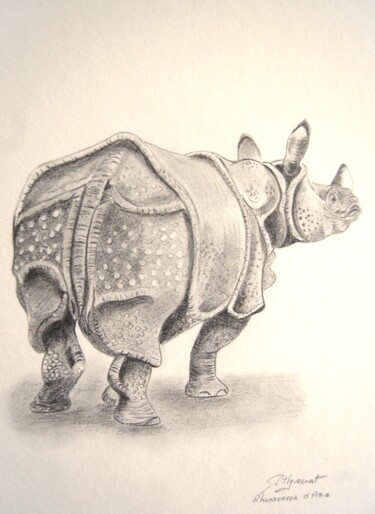 Dibujo titulada "rhinoceros d'Asie -…" por Patricia Hyvernat, Obra de arte original, Grafito