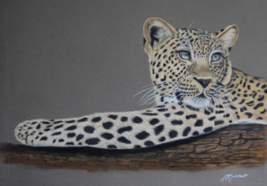 Dibujo titulada "jeune femelle leopa…" por Patricia Hyvernat, Obra de arte original, Pastel