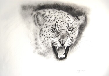 Drawing titled "dessin de leopard…" by Patricia Hyvernat, Original Artwork, Graphite
